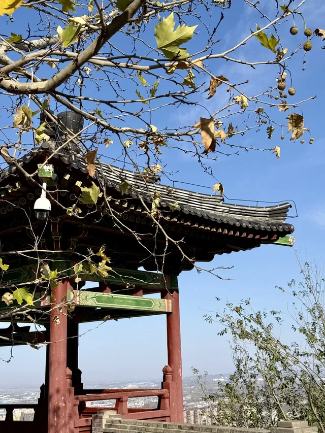 又是做大自然小孩的一天… 又是做大自然小孩的一天…