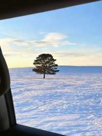 初冬呼倫湖｜草原秘境中的冰封藍調盛宴