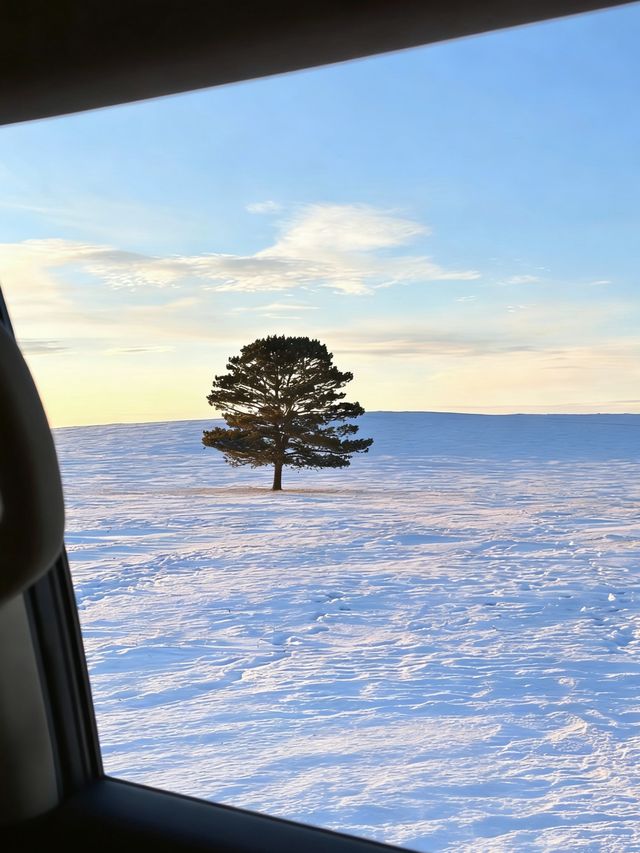 初冬呼倫湖｜草原秘境中的冰封藍調盛宴
