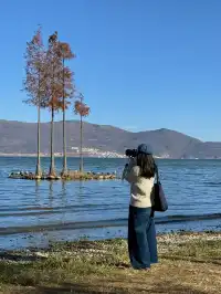 愛回收|來大理直接複製這條洱海一日遊路線!