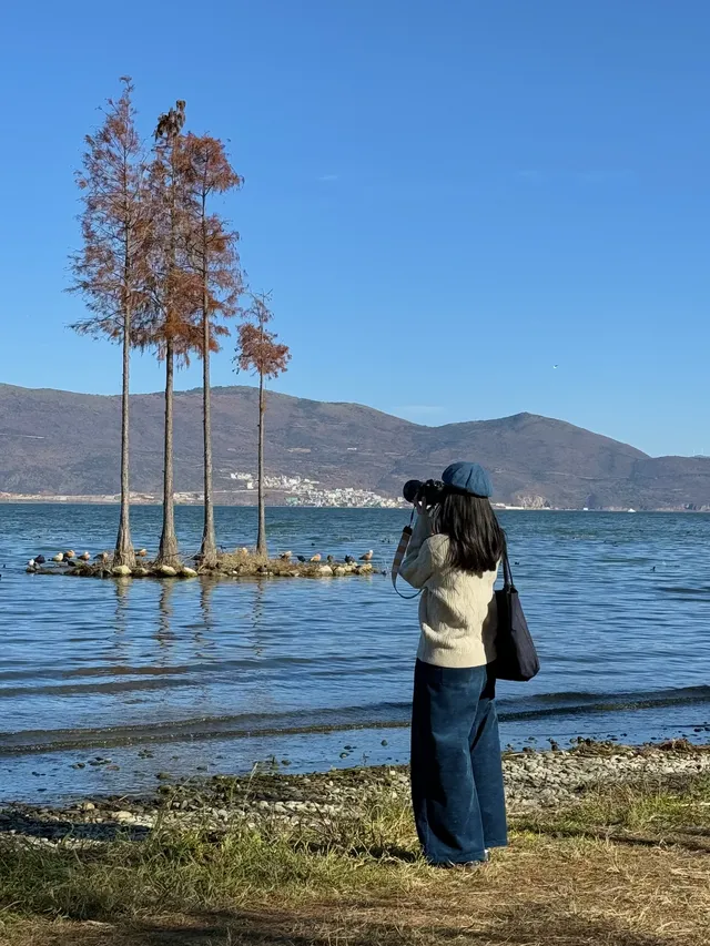 愛回收|來大理直接複製這條洱海一日遊路線! 愛回收|來大理直接複製這條洱海一日遊路線!