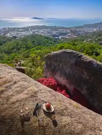 東坪山上長在岩縫裡的紅葉。
