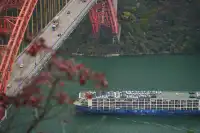 巫山龍脊看紅葉｜懶人零難度路線