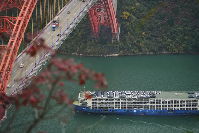 巫山龍脊看紅葉｜懶人零難度路線