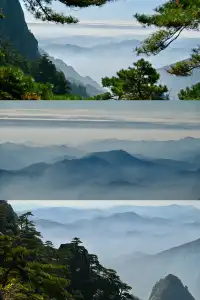 黃山(二) | 松與石