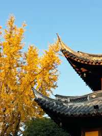 魔都秋日限定龍華寺美成古畫了!!!