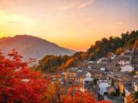 別傻逛篁嶺了！沒聽過這個故事等於白來！