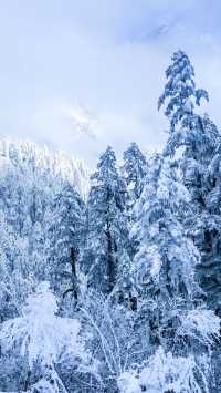 冬季的海螺溝！太值得去了！徒步溫泉簡直YYDS！！