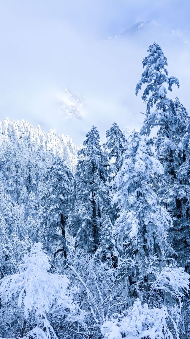 冬季的海螺溝！太值得去了！徒步溫泉簡直YYDS！！