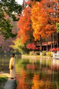 12.1武漢|現實版秋日莫內油畫~地鐵直達