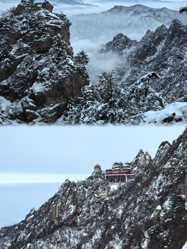 下雪天的老君山怎麼人更多呢? 下雪天的老君山怎麼人更多呢?