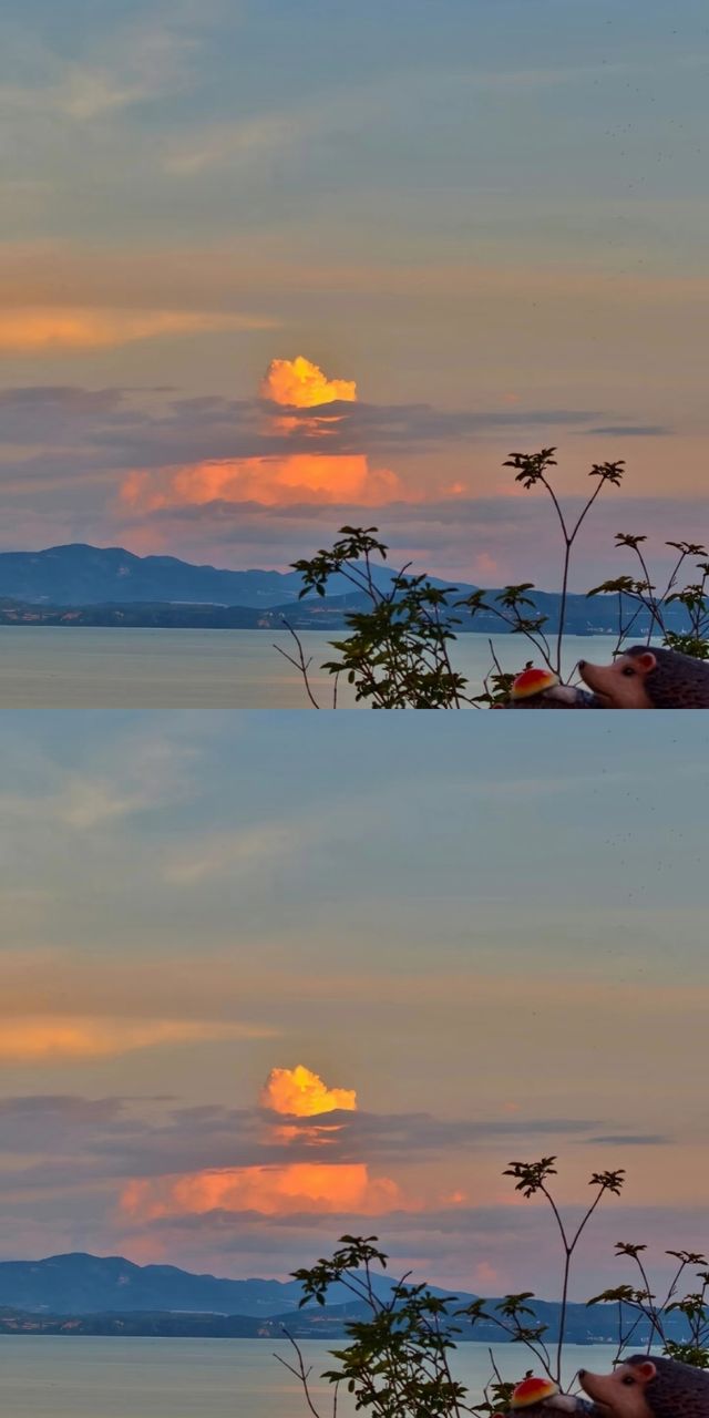 兩天遊雲南,一生困於此!誰懂啊! 兩天遊雲南,一生困於此!誰懂啊!