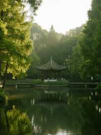 上海市區森林秘境!共青的秋冬光影拍照指南