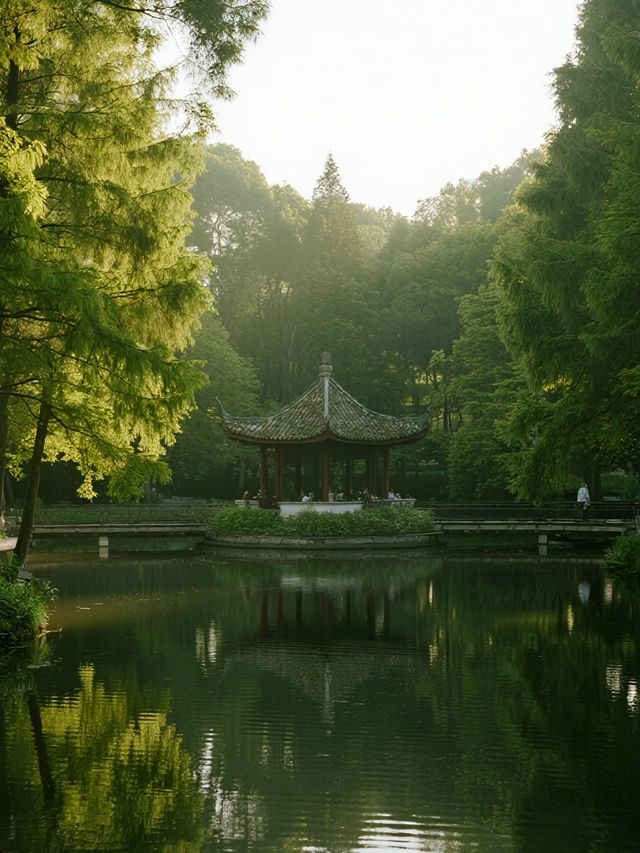 上海市區森林秘境!共青的秋冬光影拍照指南 上海市區森林秘境!共青的秋冬光影拍照指南