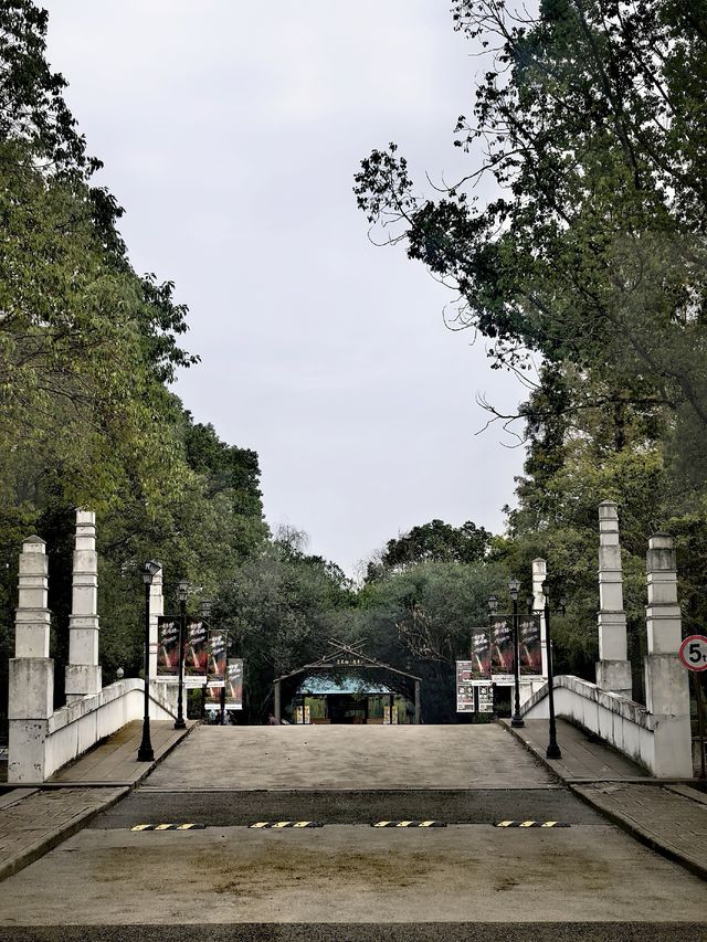 歷史與光影在此交匯 | 上海影視樂園的橋景 歷史與光影在此交匯 | 上海影視樂園的橋景