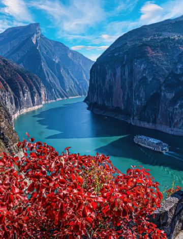 《宝藏：三峡ディープトリップ完全攻略》