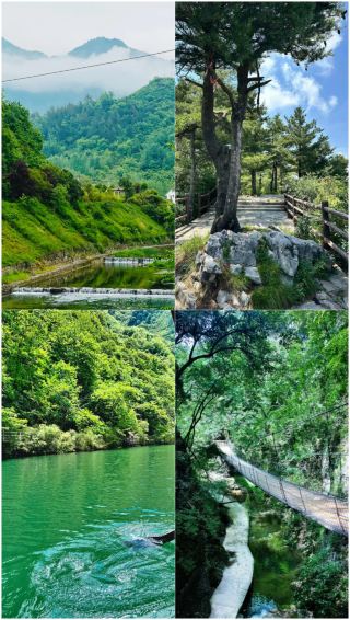 เลิกไปชินหนงเจียแล้ว ที่นี่ดีเกินไป