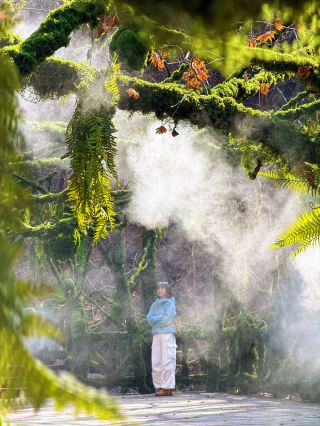 Shenyang Surrounding Tours | Explore the Spring Secret Realm of Benxi Dapinggou!