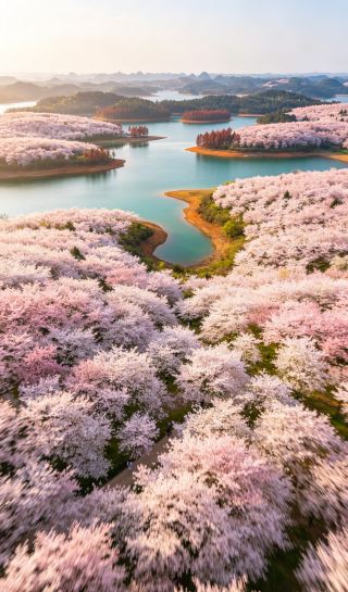 貴安桜園・春の旅行ガイド