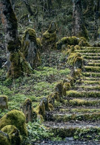 雅安東拉山｜8年ぶりに再開した秘境、少人数で酸素を吸う