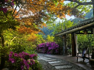 อุทยานป่าสนเฮมล็อกกรีนเฟเธอร์แลนด์ที่ซ่อนตัวอยู่ในมณฑลหูหนาน มีพลังในการรักษาอย่างสูงสุด!