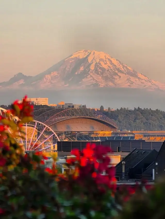 Seattle Independent Travel Guide|Get Snowy Mountains, Rainforests, and Urban Beauty All in One Click!