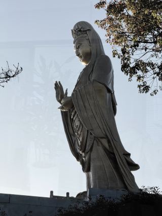 七年普陀山之行：來了就好，越來越好