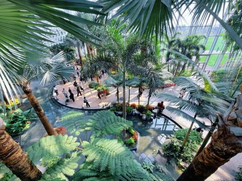 Shanghai's hidden gem | Underwater forest and greenhouse