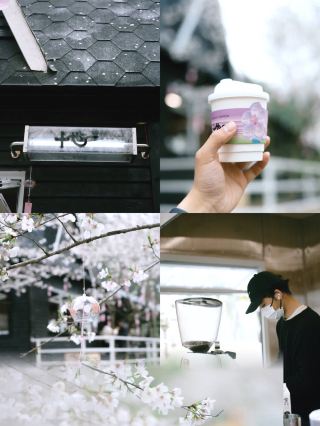 Who understands the breathtaking beauty of a cherry blossom blizzard and this kind of romance