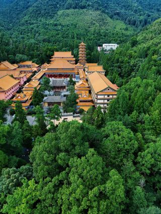 I can’t believe Hangzhou actually has an amazing kingdom of giant trees. I regret only finding out now