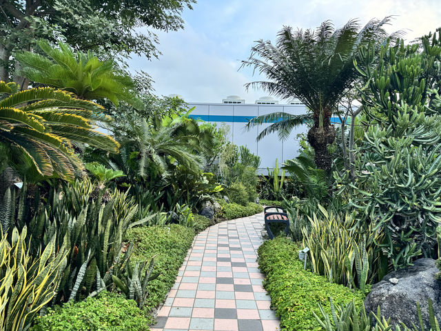 新加坡樟宜機場|機場裡的仙人掌花園