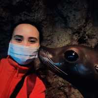 Farglory Ocean Park-Hualien
