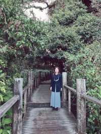 สัมผัสความหนาวที่ "ยอดดอยอินทนนท์"