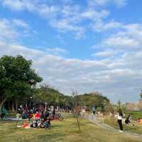 寶安區最美湖泊公園 立新湖 