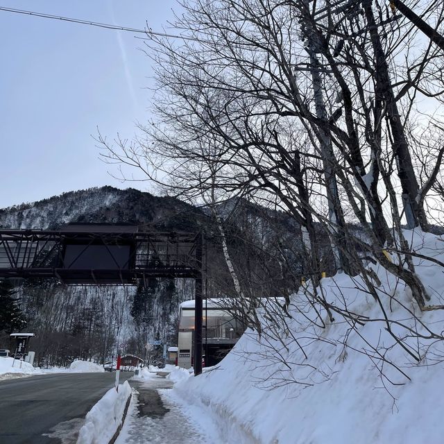 平湯滑雪之旅