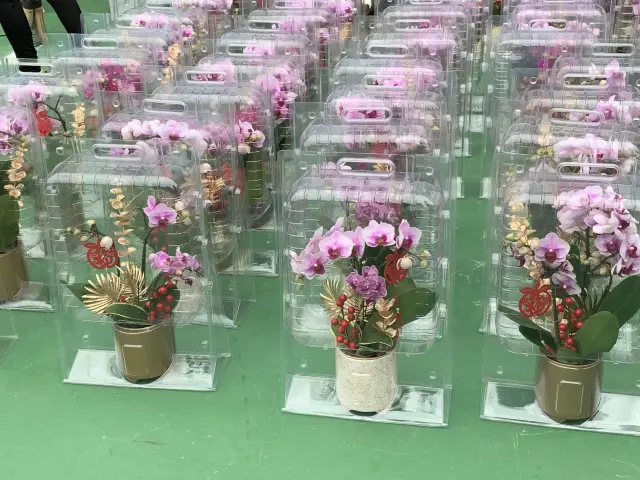 The Biggest Chinese New Year Flower Market In Hong Kong