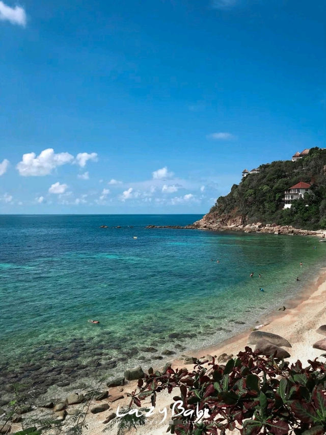 🌊Sai Daeng Resort🐢เกาะเต่า 4 วัน 3 คืน🦈ก็ไม่พอ
