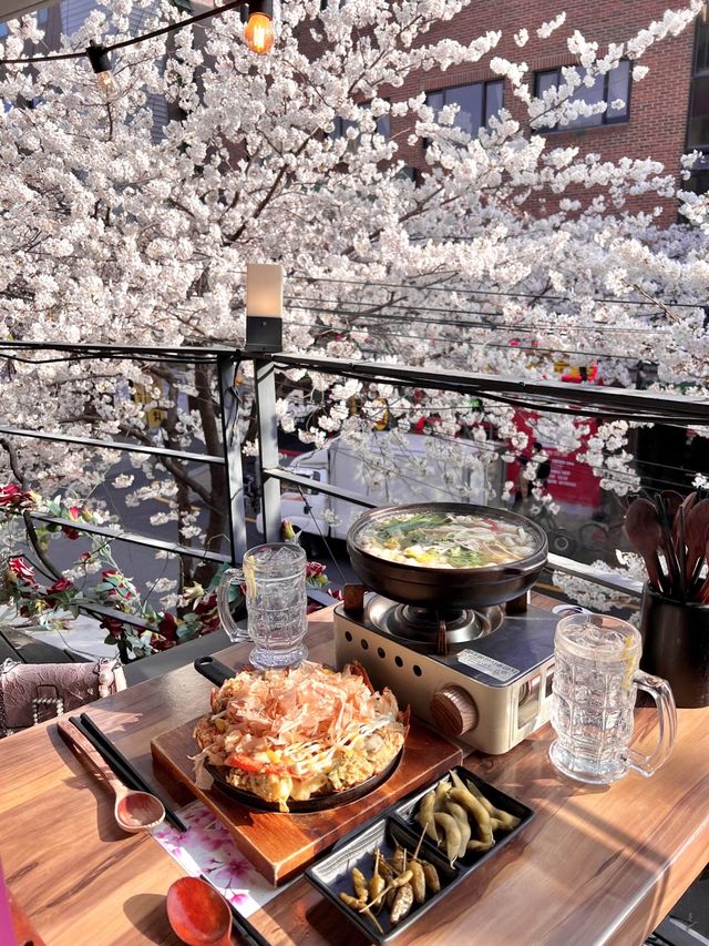 🌸벚꽃을 코앞에서 볼 수 있는 이자카야 합정 공감🌸