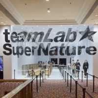teamLab超自然空間📷打卡～沉浸的光影互動展覽🎨
