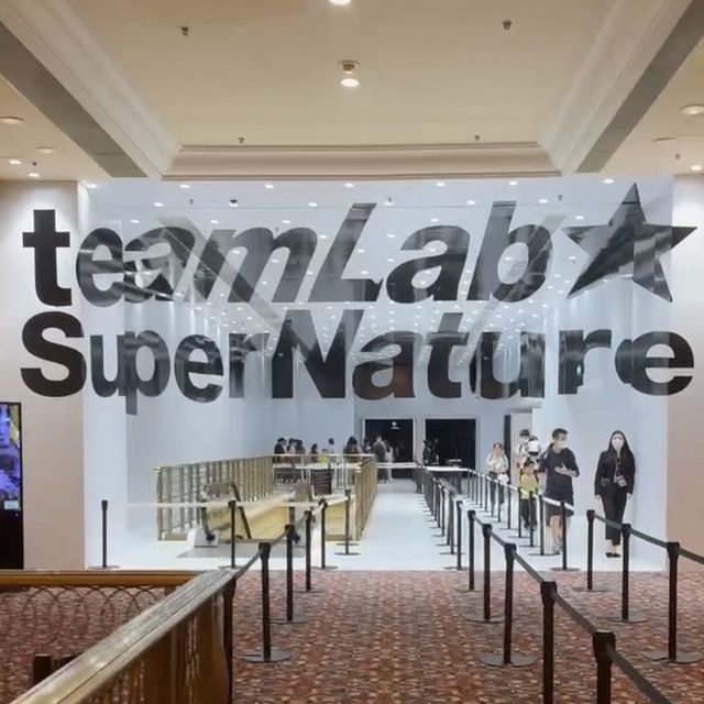 teamLab超自然空間📷打卡～沉浸的光影互動展覽🎨