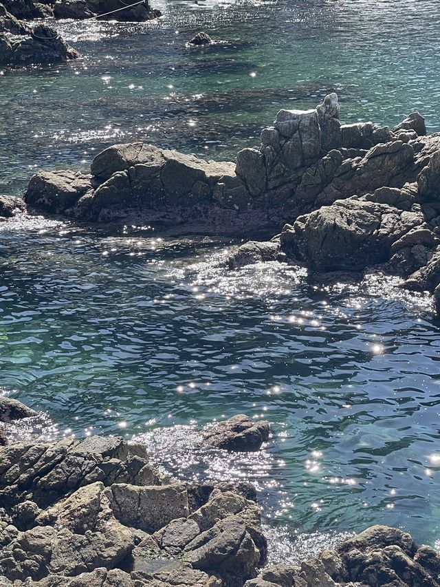 한국의 나폴리 장호항 제대로 즐기기🤿🚣‍♂️