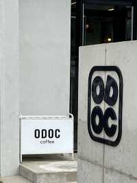 따뜻한 속초의 설악산을 품은 카페 ODOC!