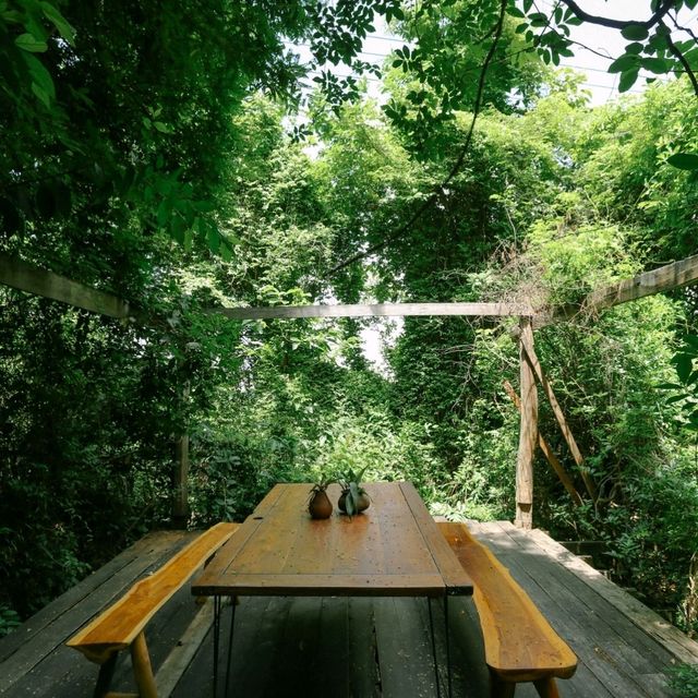 จิบกาแฟ นอนเปลในสวนป่า Skipper Garden สาขา 1