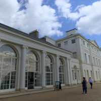 Colorful Rhodendendrum at London’s Kenwood House 