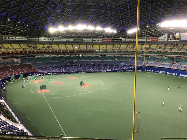 【愛知】雨の日でも安心のドーム球場！