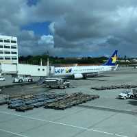スカイマーク搭乗記【那覇→神戸空港】
