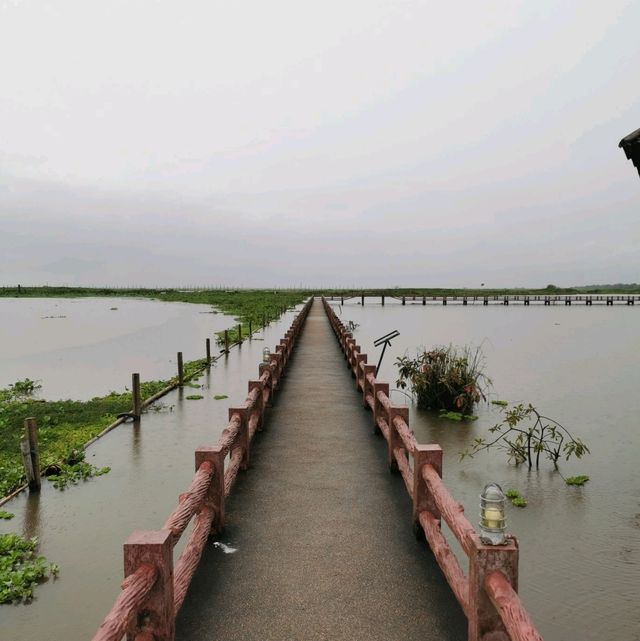 博他崙 Thale Noi 荷花湖