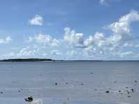 沖縄・西表島【由布島】