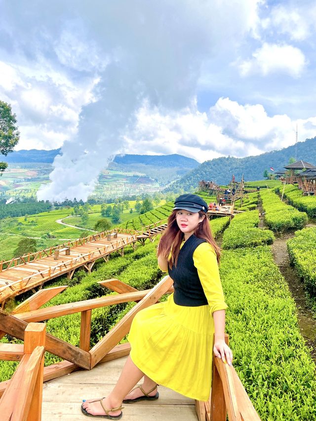 The Beautiful Tea Plantations in Bandung🎋