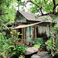 ร้านต้นไม้- กาแฟ